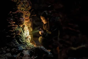 Que horas começa 'The Last of Us'? 5º episódio estreia neste domingo