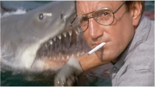 'Tubarão' faz 50 anos: o que é verdade e o que é mentira no filme de Steven Spielberg