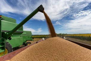 China aumenta em 180% importações de farelo da Rússia em meio à guerra comercial com os EUA