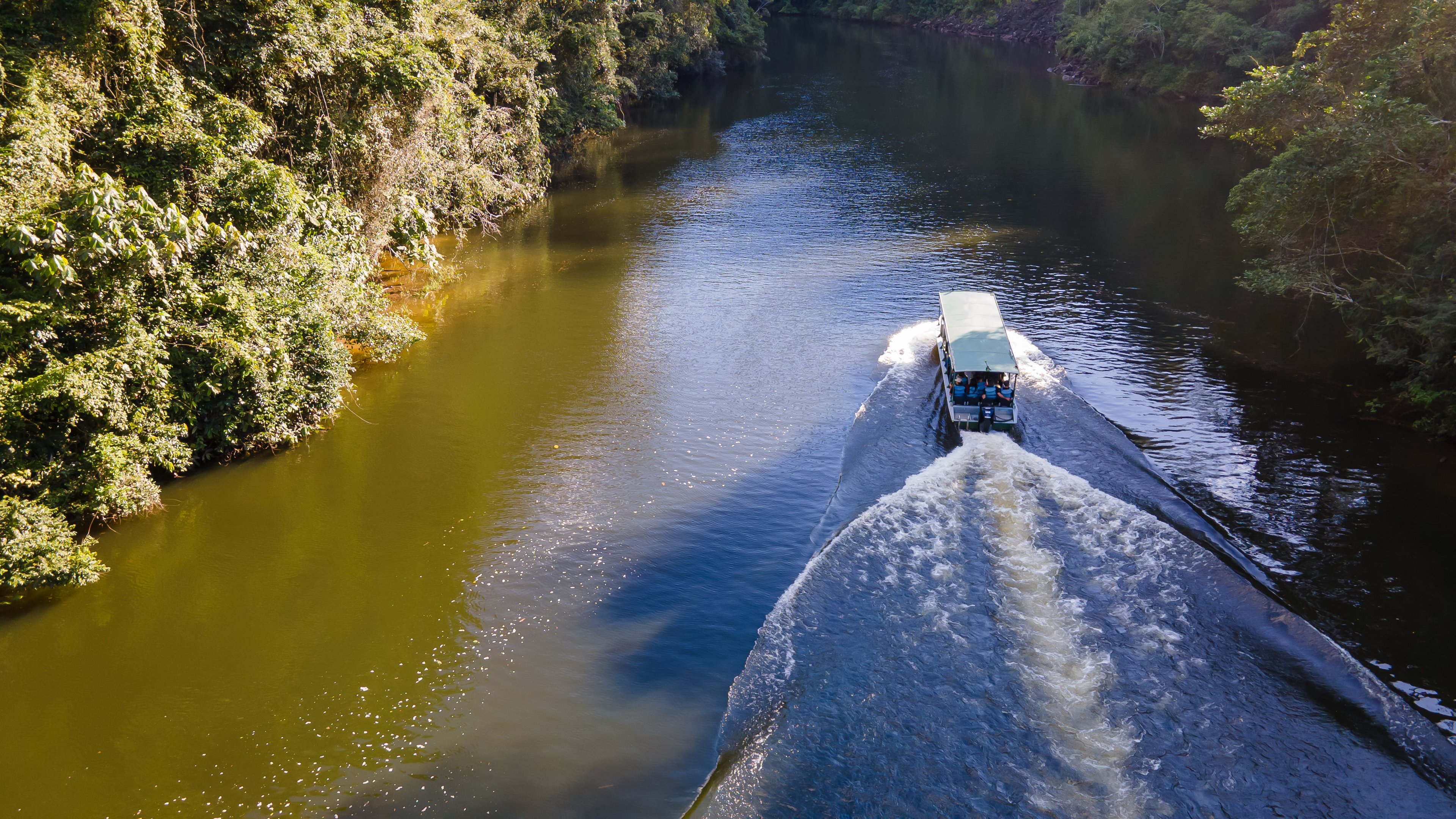 Galeria de fotos de Floresta Mapfre: veja imagens da reserva ambiental da seguradora na Mata Atlântica