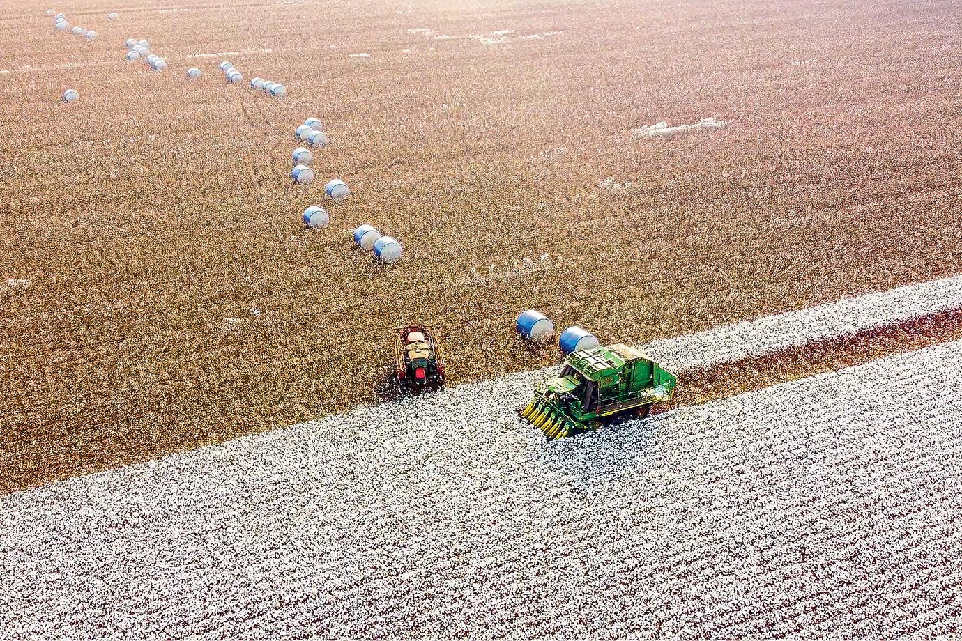 O outro lado do agro: estudo mostra descompasso entre riqueza e desenvolvimento de municípios