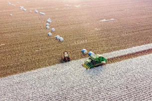 O outro lado do agro: estudo mostra descompasso entre riqueza e desenvolvimento de municípios