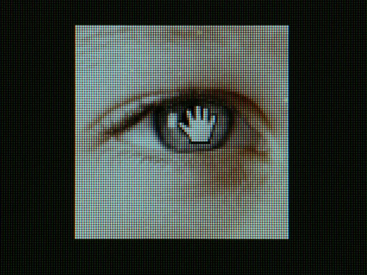 Orb: dispositivo escaneia a íris do usuário para gerar um ID digital único, sem armazenar dados pessoais (Giovanni Bortolani/Getty Images)