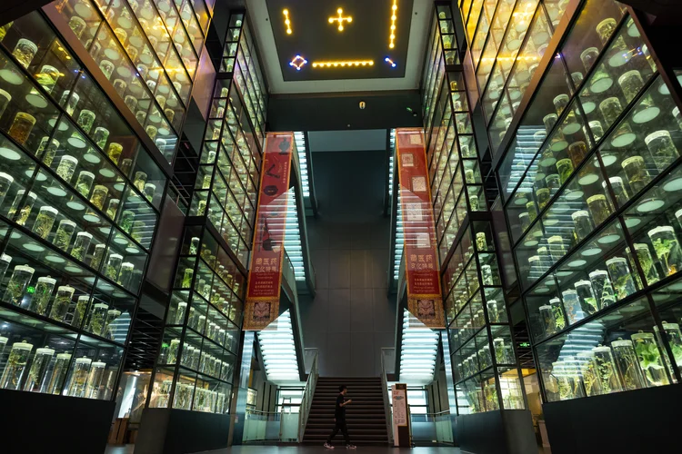 Regencell: companhia foca seus negócios em uma fórmula patenteada de Medicina Tradicional Chinesa, mas não gerou receita nem solicitou aprovação regulatória para sua fórmula patenteada. (John Ricky/Anadolu via Getty Images)