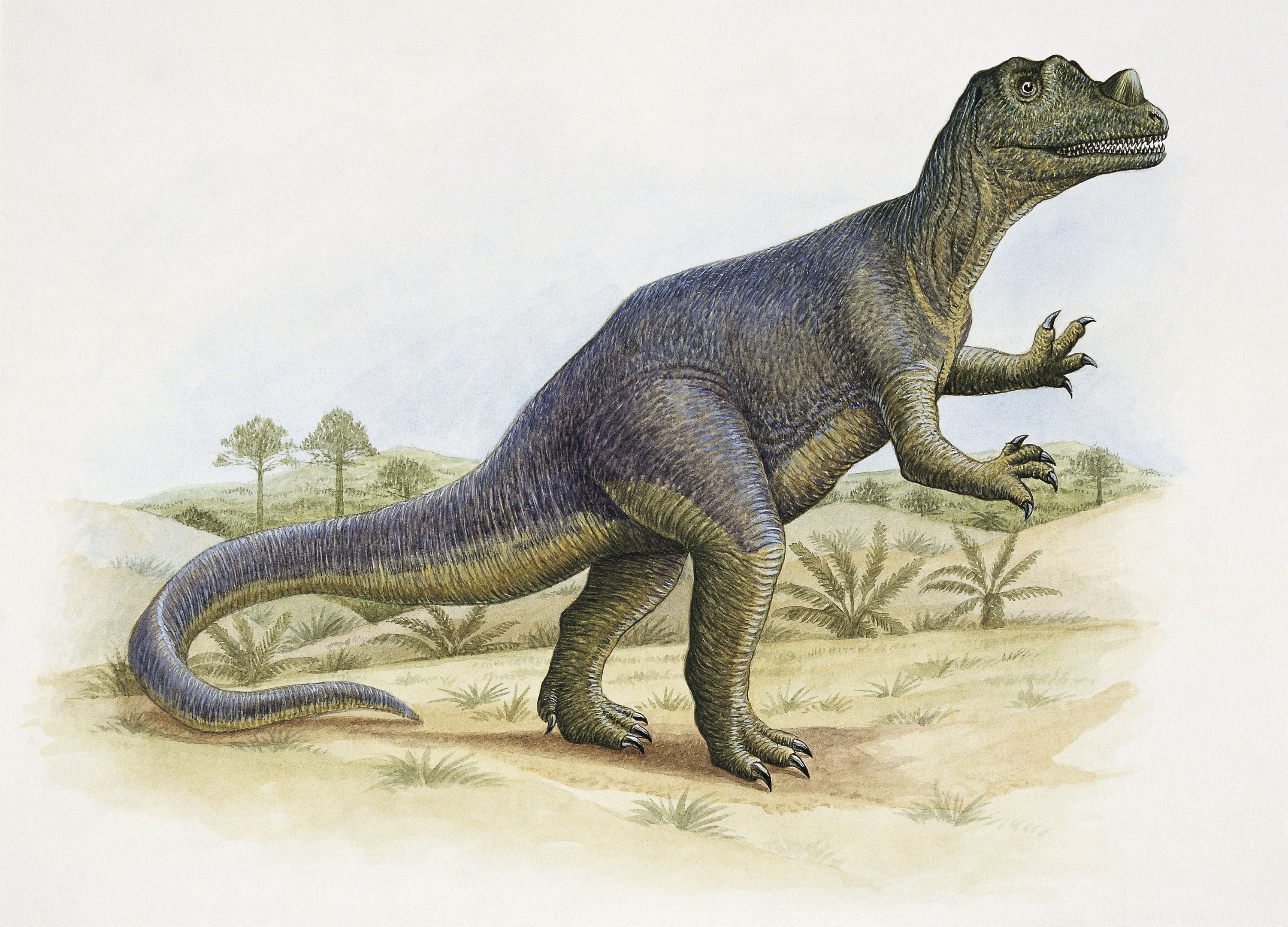 Fóssil raro de dinossauro pode valer até 10 apartamentos de luxo no Rio ou em São Paulo