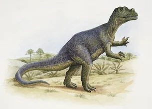 Fóssil raro de dinossauro pode valer até 10 apartamentos de luxo no Rio ou em São Paulo