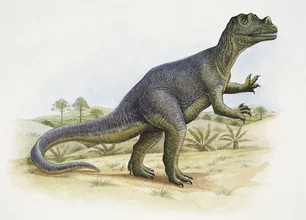 Imagem referente à matéria: Fóssil raro de dinossauro pode valer até 10 apartamentos de luxo no Rio ou em São Paulo
