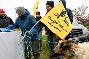 Imagem referente à matéria: Às vésperas da visita de Lula, agricultores franceses pressionam Macron a barrar Mercosul-UE