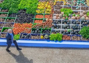 Plano Safra 25/26: governo anuncia R$ 78,2 bilhões para pequeno e médio produtor