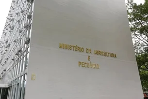 Plano Safra 2025/26: governo prepara anúncio para a próxima segunda-feira, 30