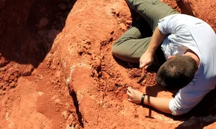 Imagem referente à matéria: Fóssil descoberto no Brasil lança luz sobre origem dos dinossauros