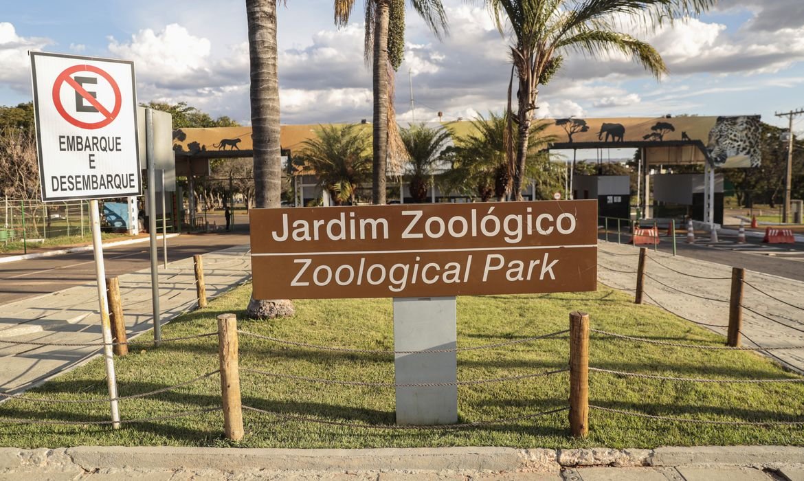 Caso de gripe aviária atinge Zoológico de Brasília; local ficará fechado até 12 de junho