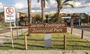 Imagem referente à matéria: Gripe aviária atinge Zoológico de Brasília; local ficará fechado até 12 de junho
