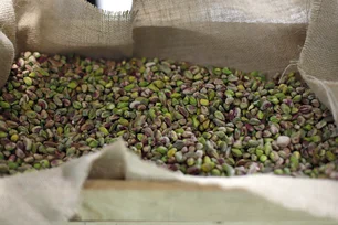 Imagem referente à matéria: Produção de pistache no Irã bate recorde; setor gera US$ 1,5 bilhão por ano