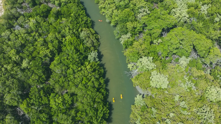 Rota das Emoções - Passeio de Caique Pelo Rio Camurupim, no Rio Grande do Norte (Divulgação)