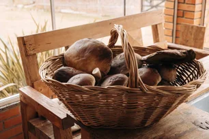 Imagem referente à matéria: Caça aos cogumelos: o novo esporte do inverno brasileiro