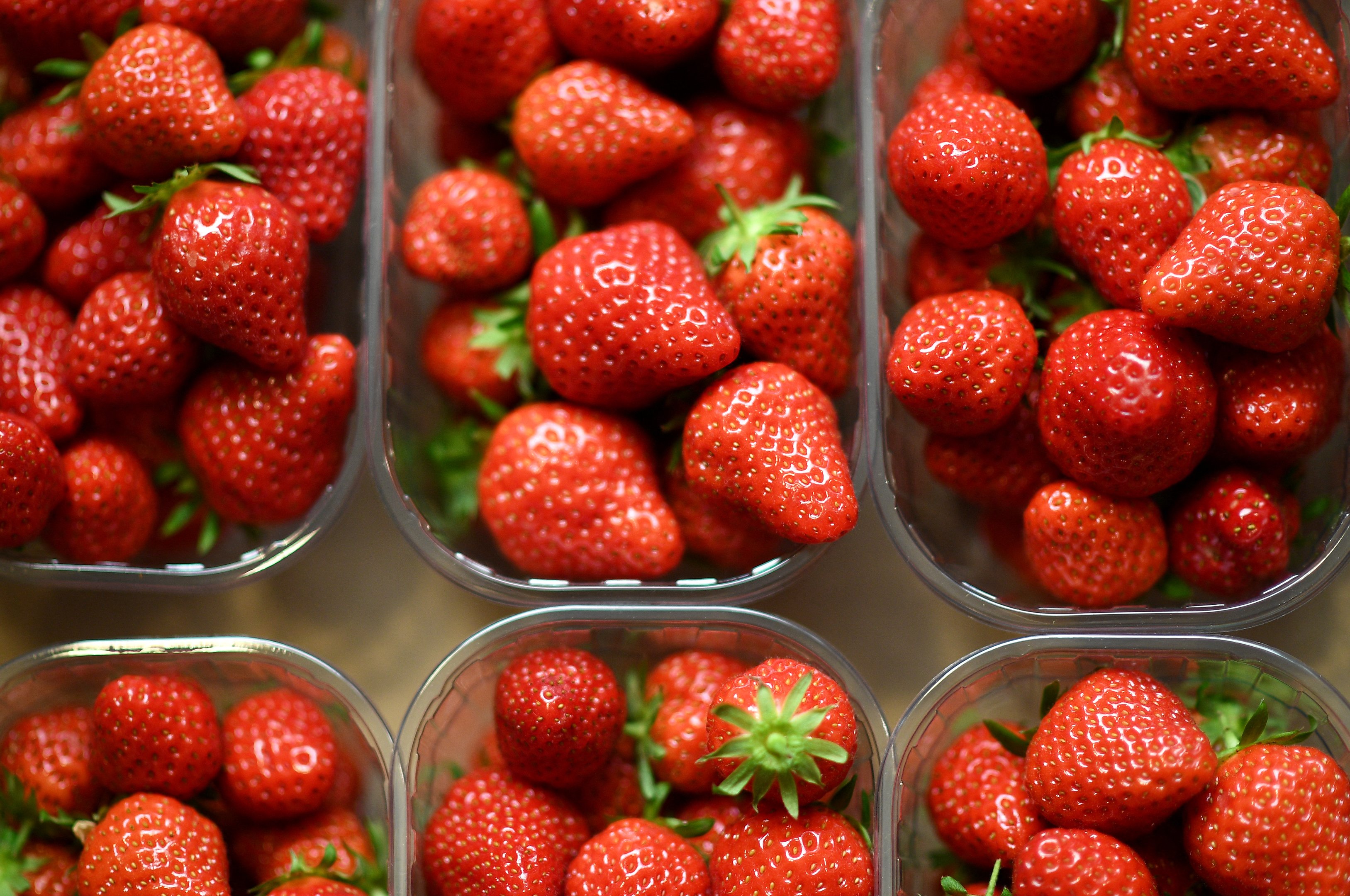 Frutas premium? Morango japonês chega a US$ 19 a unidade e vira presente de luxo nos EUA