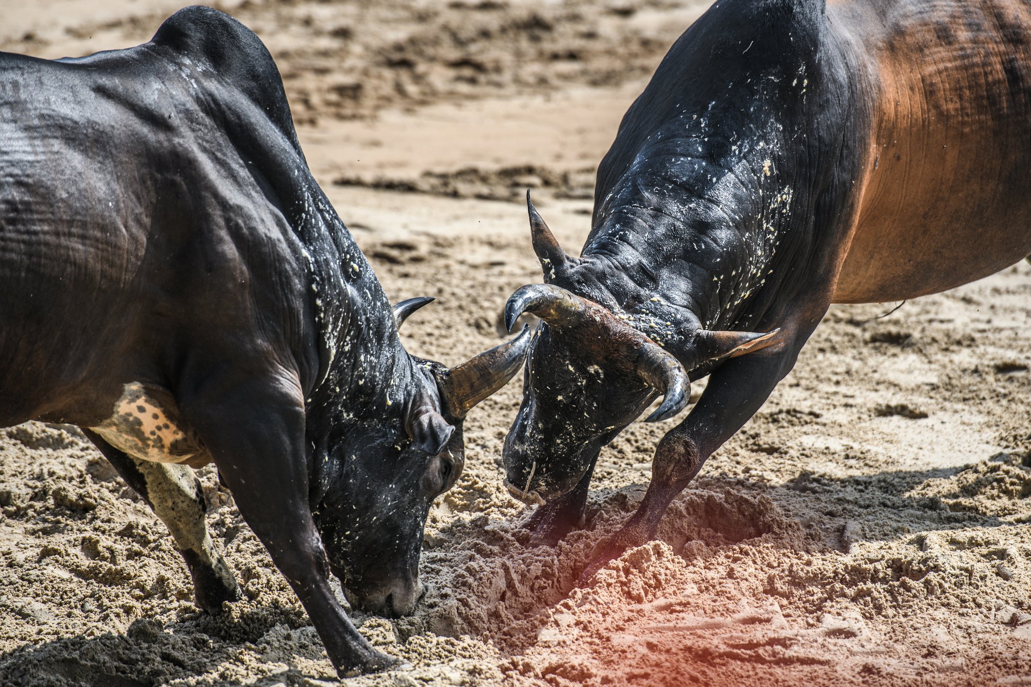 Cade dá 10 dias para Marfrig (MRFG3) e BRF (BRFS3) se defenderem de alegações da Minerva