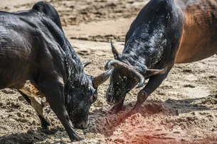 Cade dá 10 dias para Marfrig (MRFG3) e BRF (BRFS3) se defenderem de alegações da Minerva