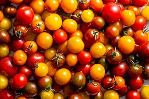 EUA impõe tarifa de 17% ao tomate fresco importado do México