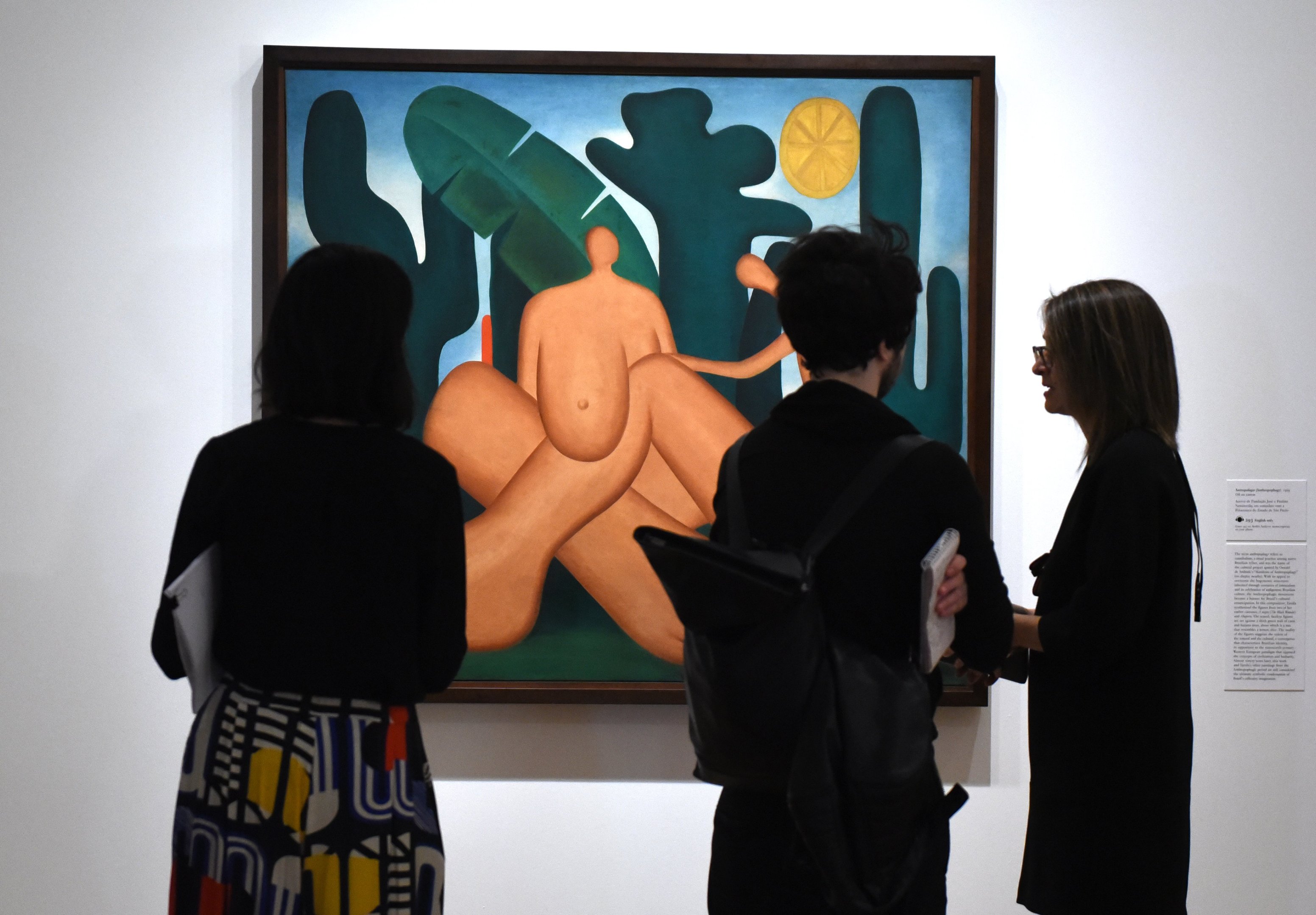 Quem manda em Tarsila do Amaral? A briga dos 56 herdeiros, os contratos e o futuro da obra