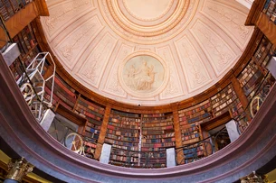 Besouros ameaçam destruir 100 mil livros históricos em biblioteca milenar; entenda