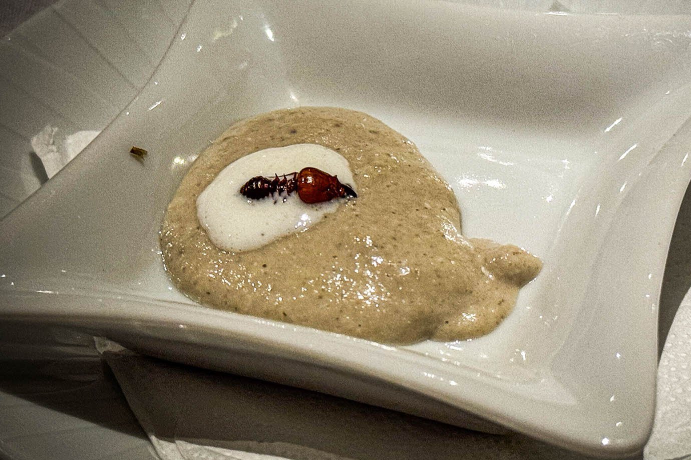 O restaurante oferece pratos que incluem ingredientes locais como a formiga Maniwa