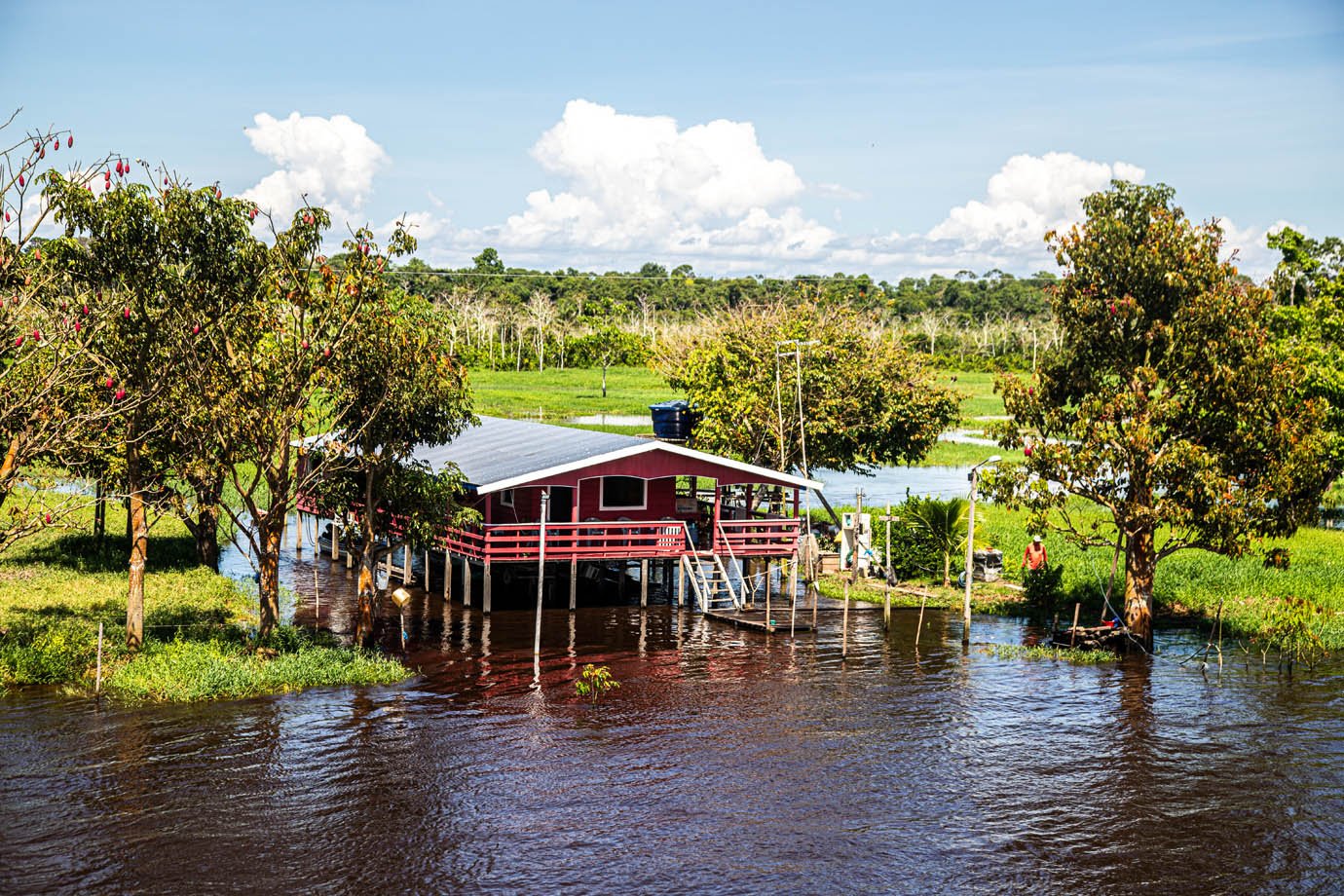 Rio Amazonas - ribeirinhas - ribeirinhos - moradia - casas palafitas - amazonia - 

Foto: Leandro Fonseca
Data: 02/07/2025