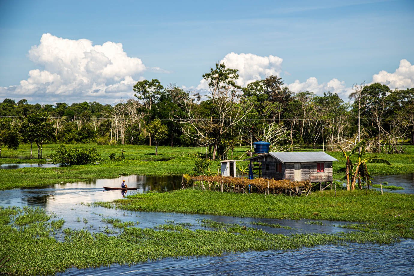 Rio Amazonas - ribeirinhas - ribeirinhos - moradia - casas palafitas - amazonia - 

Foto: Leandro Fonseca
Data: 02/07/2025