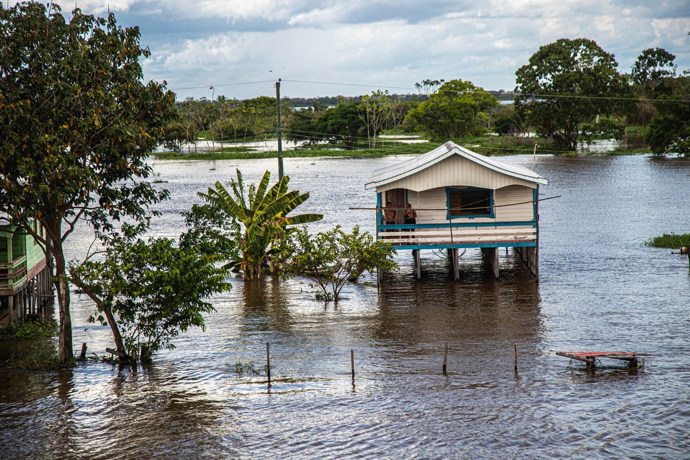 Rio Amazonas - ribeirinhas - ribeirinhos - moradia - casas palafitas - amazonia - 

Foto: Leandro Fonseca
Data: 02/07/2025