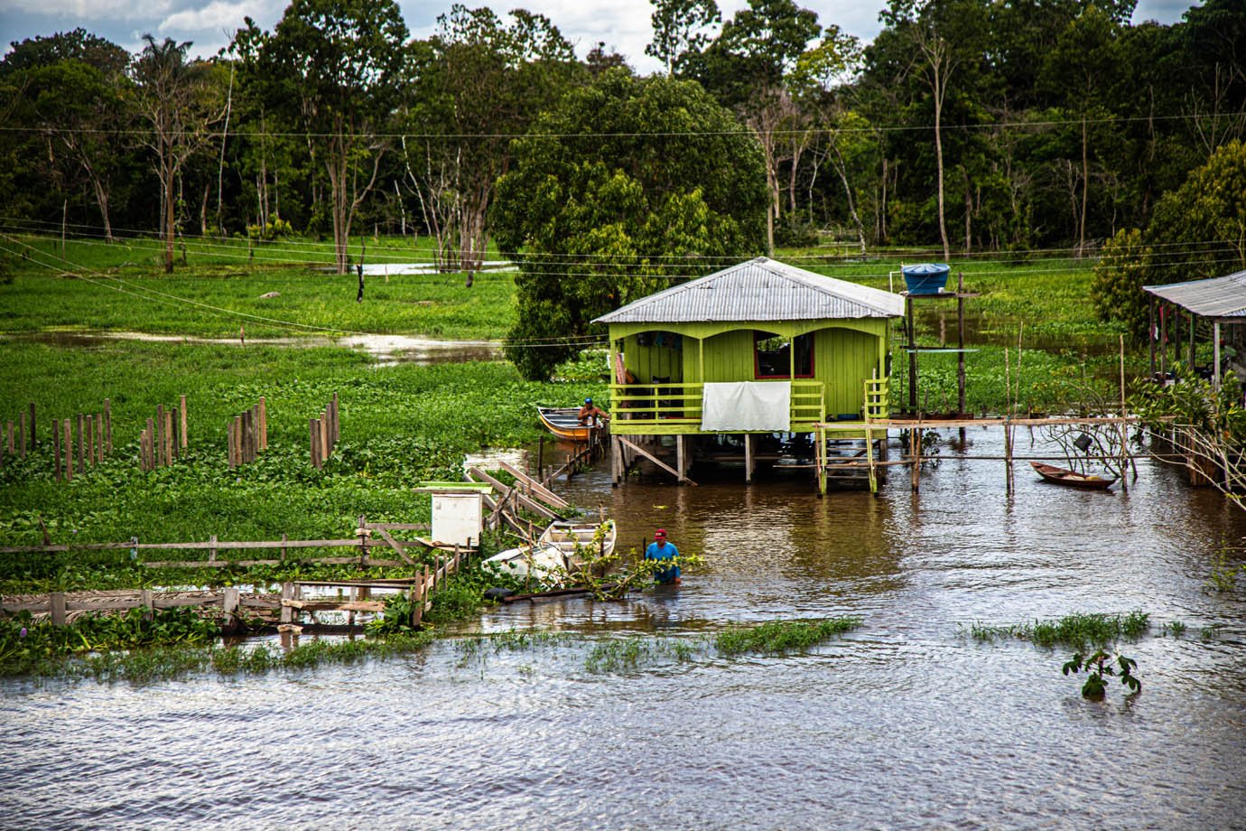 Rio Amazonas - ribeirinhas - ribeirinhos - moradia - casas palafitas - amazonia - 

Foto: Leandro Fonseca
Data: 02/07/2025