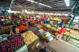Imagem referente à matéria: Contra tarifaço, política do governo pode baixar preços de pescados e frutas; carnes correm risco