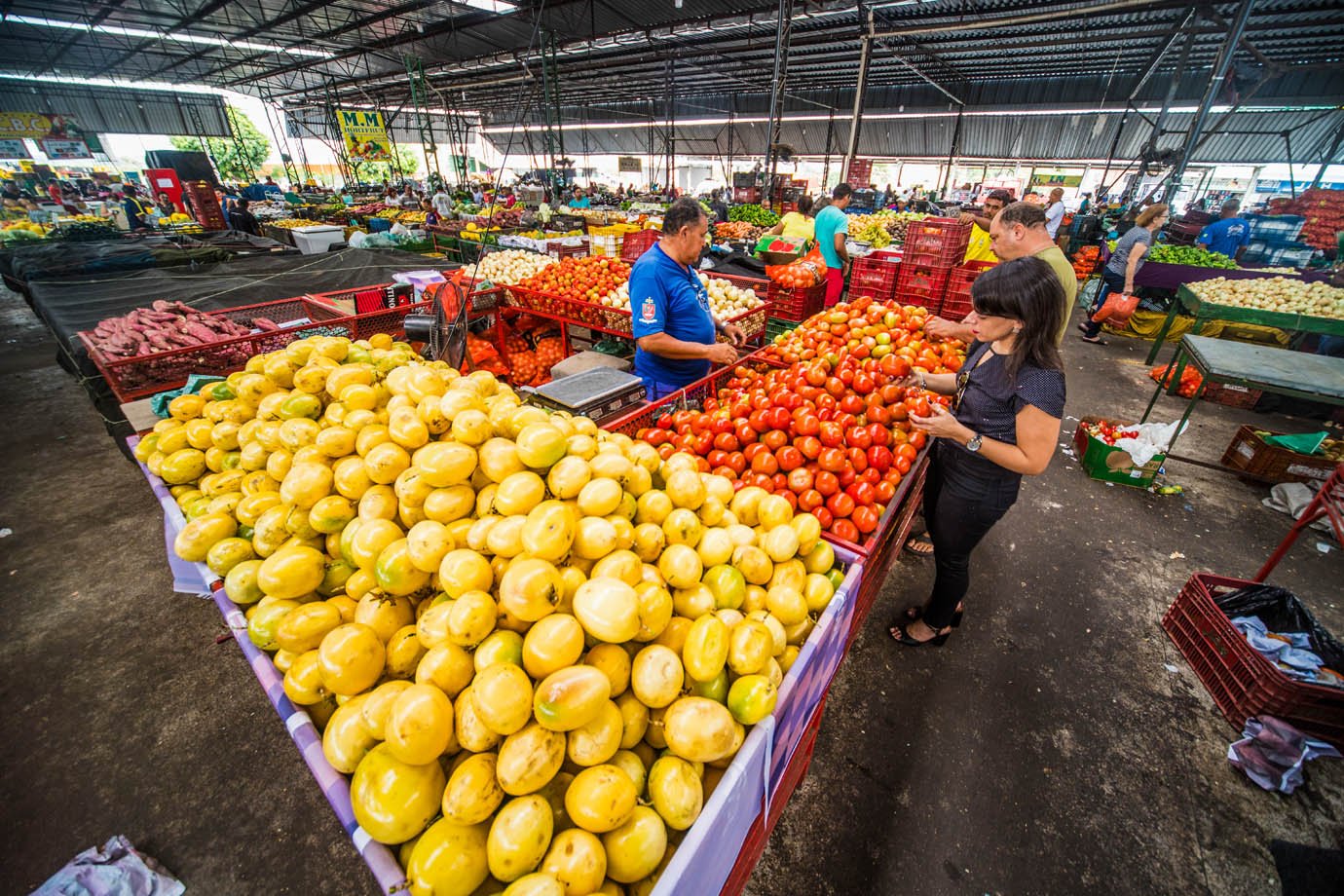 Por que a mudança climática está elevando os preços de alimentos? Entenda