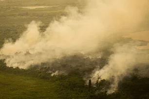 Imagem referente à matéria: Governo de SP alerta para risco elevado de incêndios em grande parte do estado nos próximos dias
