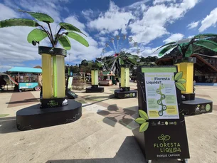 Campos do Jordão inaugura floresta líquida com tecnologia de captura de carbono