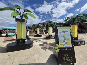 Imagem referente à matéria: Campos do Jordão inaugura floresta líquida com tecnologia de captura de carbono