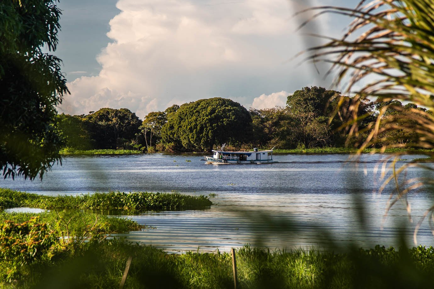 Galeria de fotos de Rio Amazonas