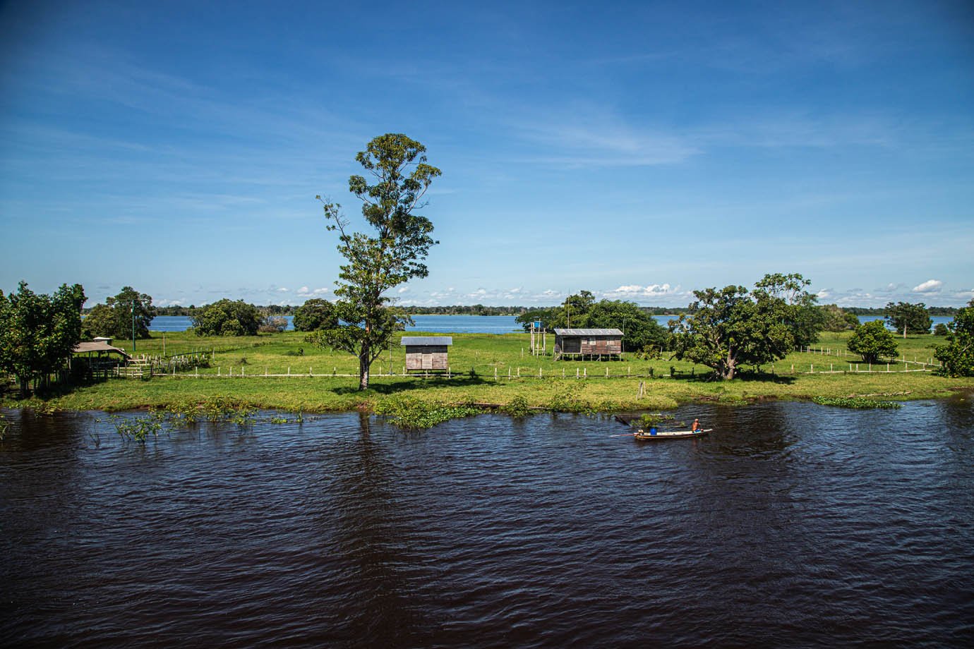 Rio Amazonas - ribeirinhas - ribeirinhos - moradia - casas palafitas - amazonia - 

Foto: Leandro Fonseca
Data: 02/07/2025