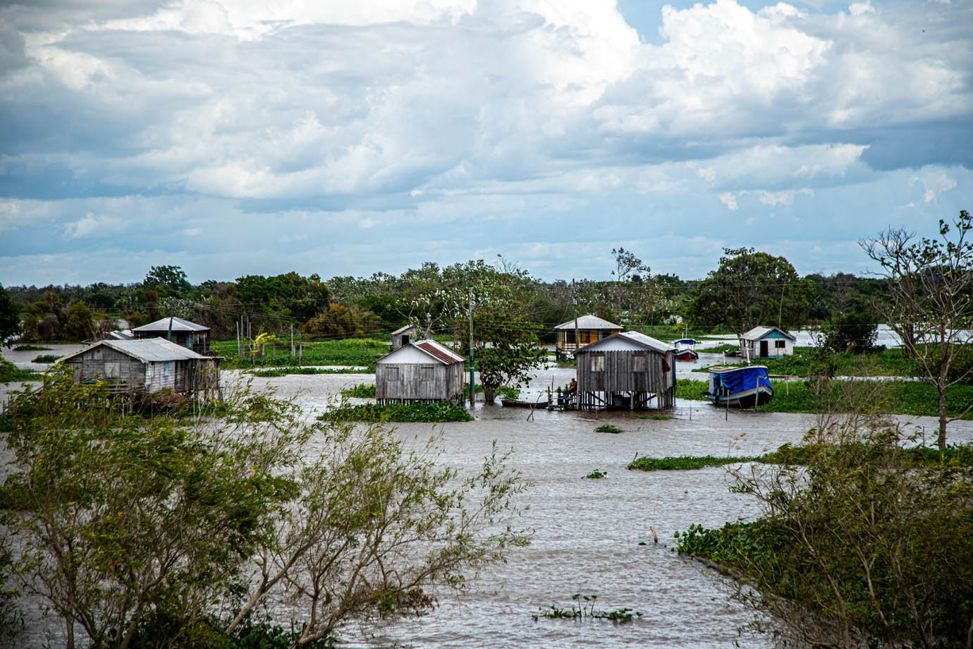 Rio Amazonas - ribeirinhas - ribeirinhos - moradia - casas palafitas - amazonia - 

Foto: Leandro Fonseca
Data: 02/07/2025