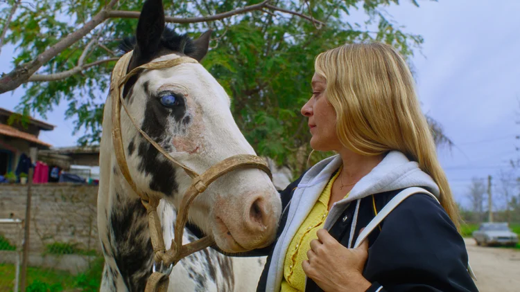 Magic Farm: estreia do filme no Mubi (Mubi /Divulgação)