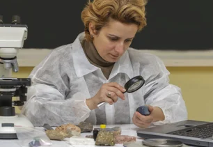 Imagem referente à matéria: Iniciativa libera 500 acessos gratuitos de software para impulsionar formação de novos geocientistas