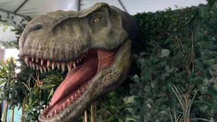 Imagem referente à matéria: 'Jurassic World: Recomeço' traz dinossauros à vida em evento inédito em São Paulo; veja data e valor