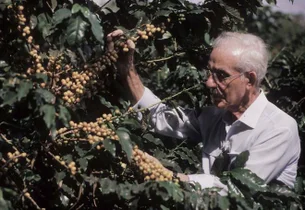 O pesquisador que 'melhorou' o café brasileiro e impulsionou um setor de R$ 86 bilhões