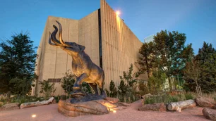 Imagem referente à matéria: Museu descobre ossada rara de dinossauro no próprio estacionamento
