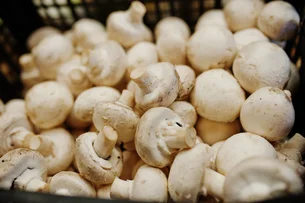Anvisa suspende venda de champignon, molho de alho, polpa de fruta e azeite; veja as marcas
