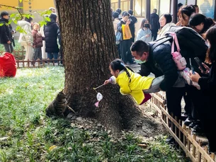 China adota novo plano para aumentar natalidade: R$ 2.700 por ano por criança