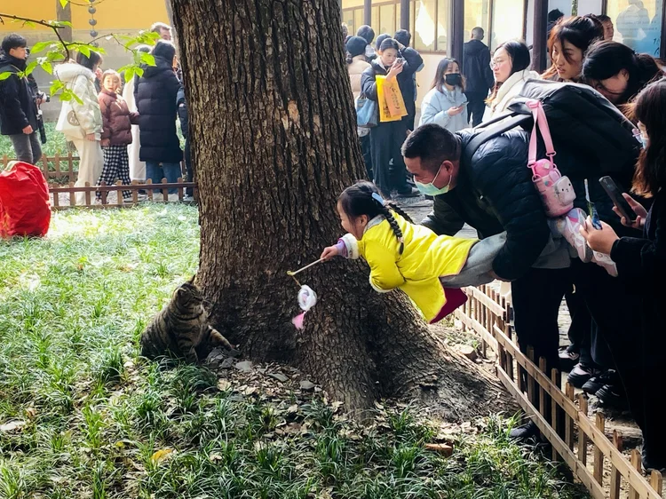 China: taxa de natalidade no país é uma das mais baixas do mundo, com cerca de um filho por mulher (Sun Wenyu /Unsplash)