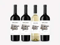 Imagem referente à notícia: Importadora brasileira vai ao Chile em busca do vinho perfeito e cria linha com 400 mil garrafas