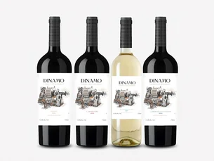 Importadora brasileira vai ao Chile em busca do vinho perfeito e cria linha com 400 mil garrafas