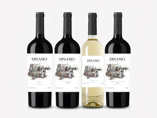 Imagem referente à matéria: Importadora brasileira vai ao Chile em busca do vinho perfeito e cria linha com 400 mil garrafas